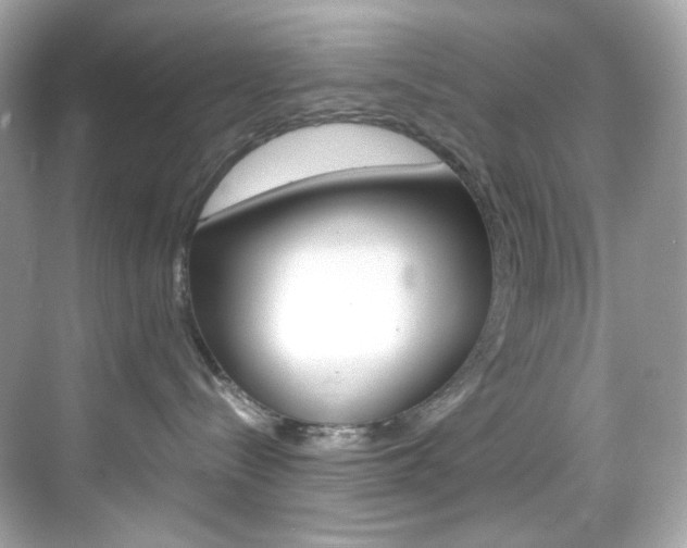 X0000069410288200605121057