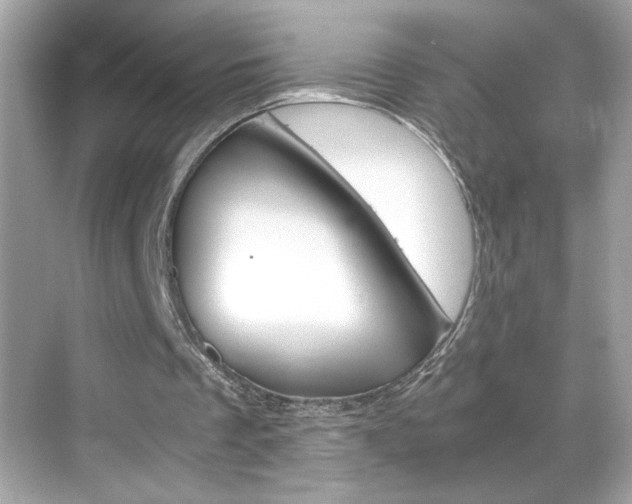 X0000069410289200605121056