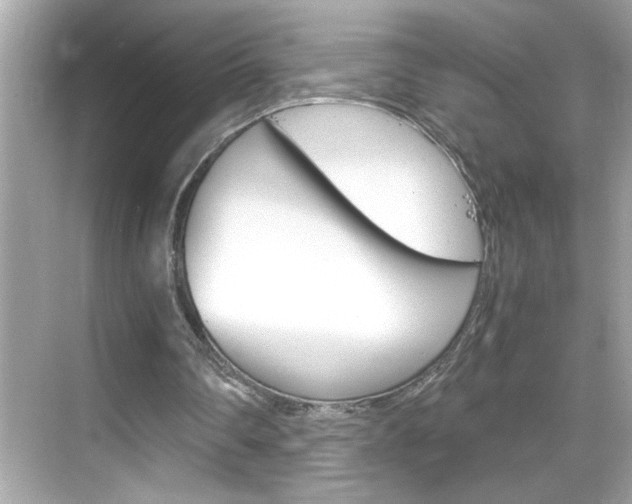 X0000069410290200605121056