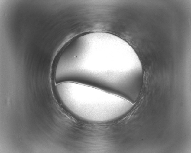 X0000069410292200605121056