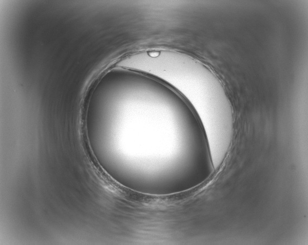 X0000069410293200605121056
