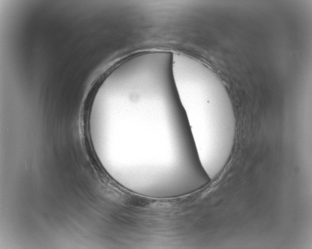 X0000069410294200605121056
