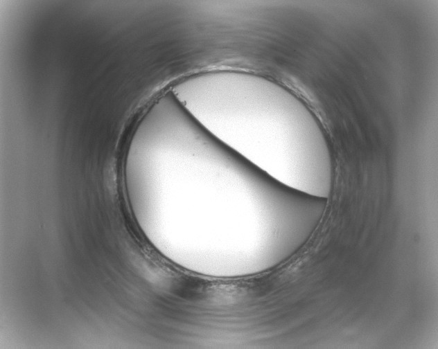 X0000069410298200605121056