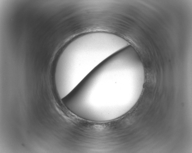 X0000069410302200605121056