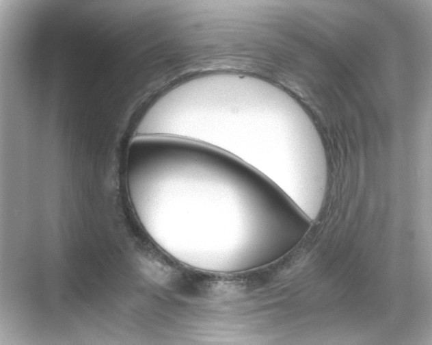 X0000069410303200605121056