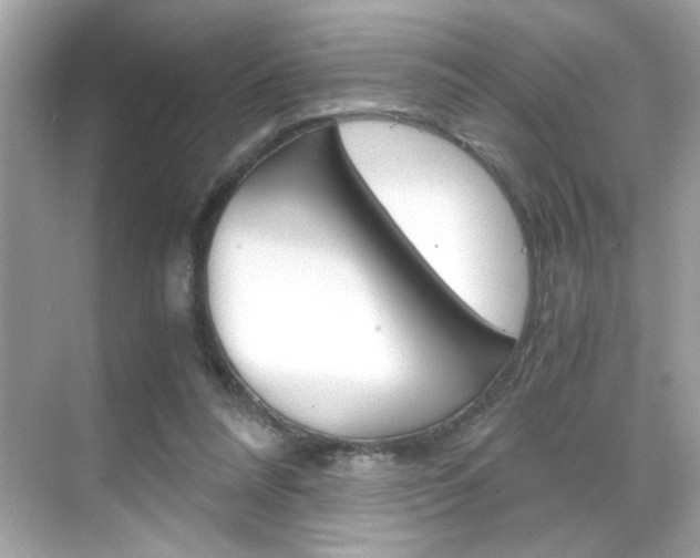 X0000069410304200605121056