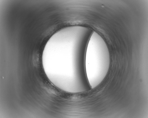 X0000069410308200605121056