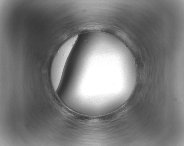 X0000069410309200605121056