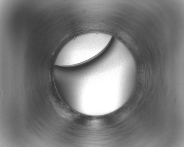 X0000069410312200605121056