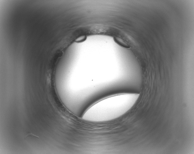 X0000069410315200605121056