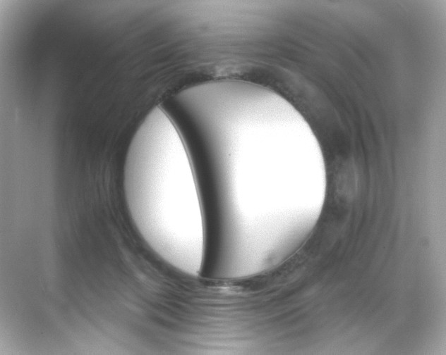 X0000069410316200605121055