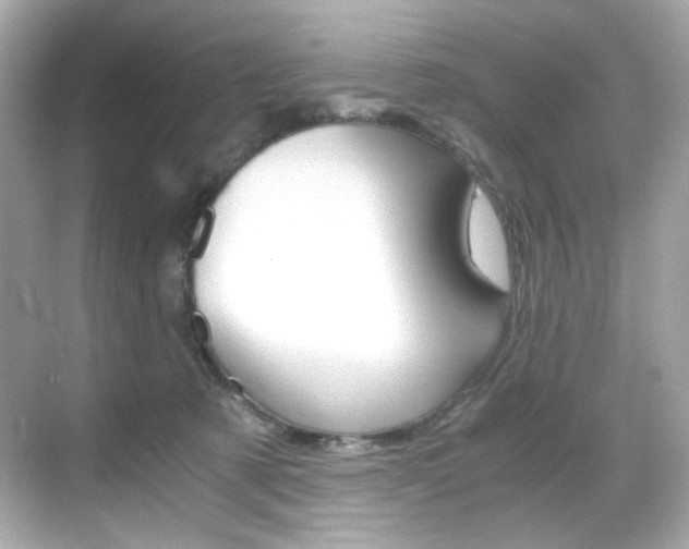 X0000069410321200605121055