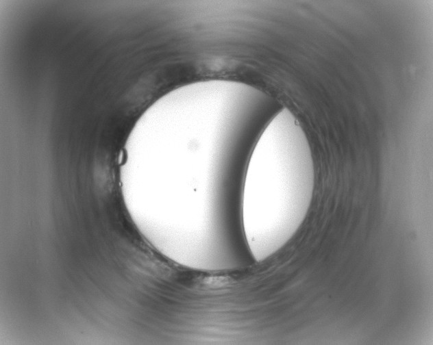 X0000069410324200605121055