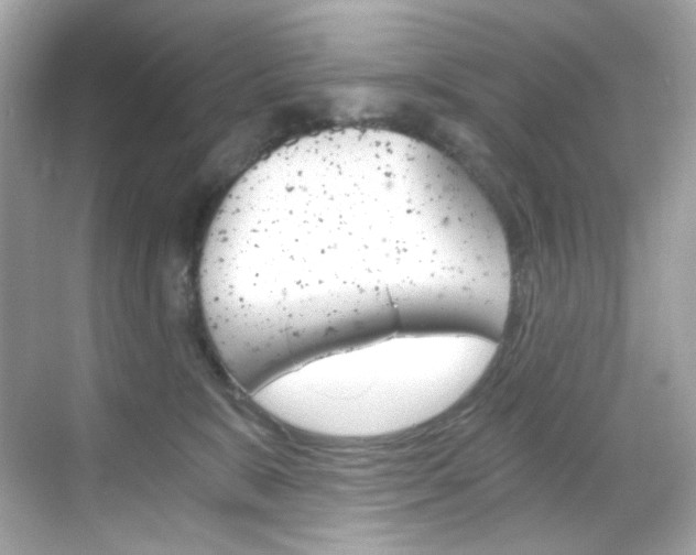 X0000069410327200605121055