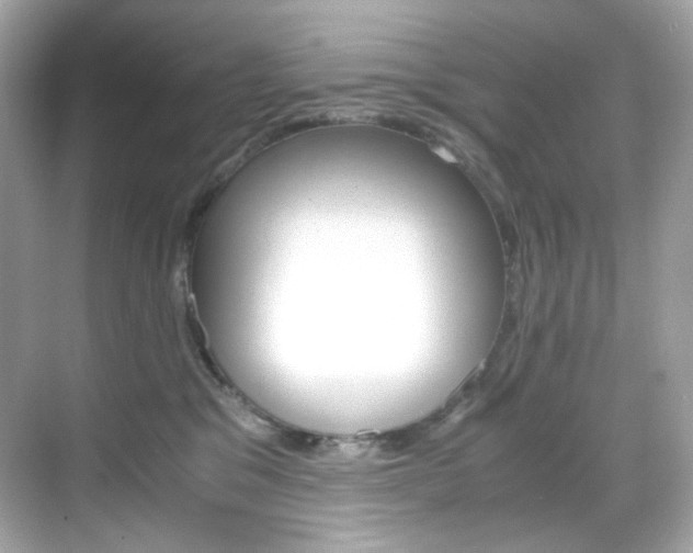 X0000069410329200605121055