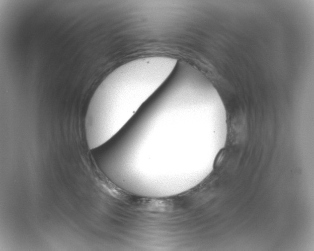 X0000069410330200605121055