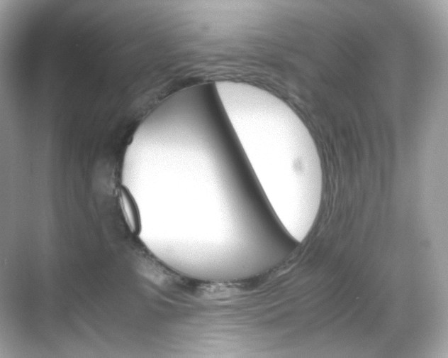 X0000069410331200605121055