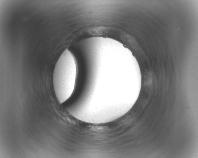 X0000069410332200605121055