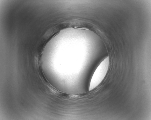 X0000069410333200605121055