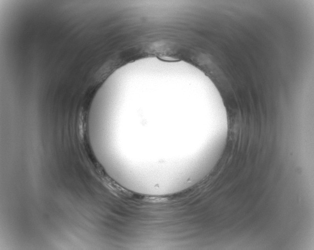 X0000069410334200605121055