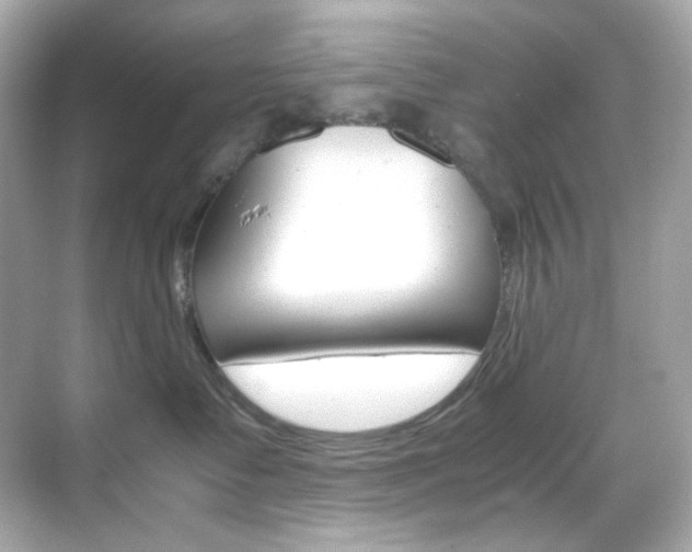 X0000069410335200605121055