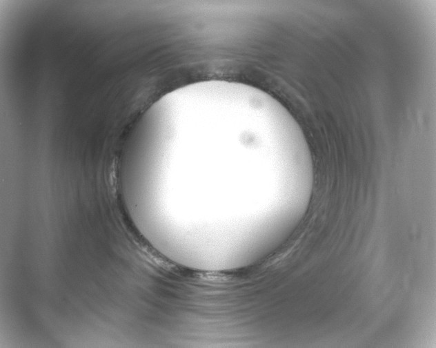 X0000069410336200605121055