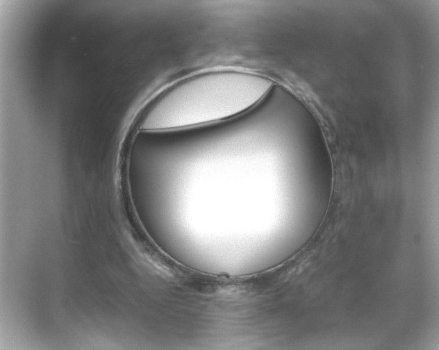 X0000069410344200605121054