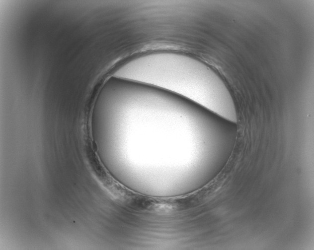 X0000069410352200605121055