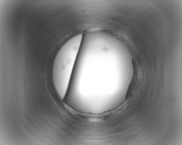 X0000069410360200605121055