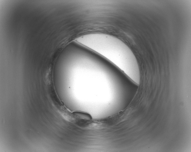 X0000069410364200605121055
