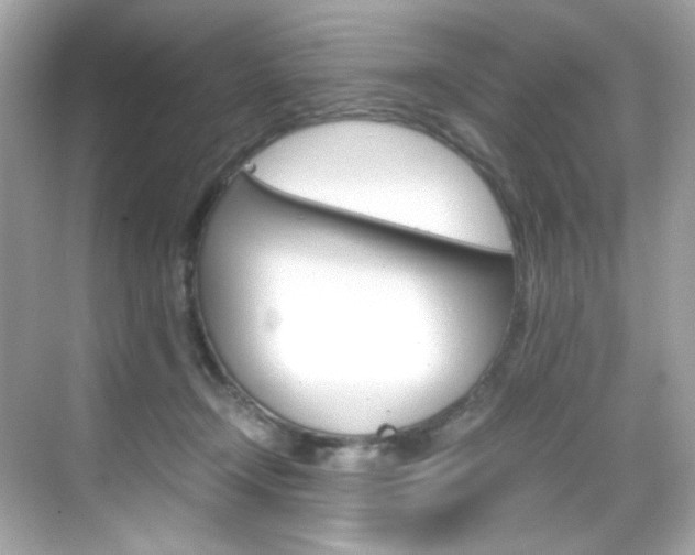 X0000069410366200605121055
