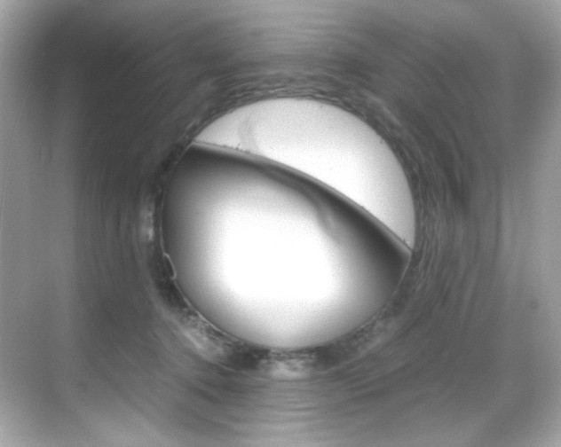X0000069410368200605121055