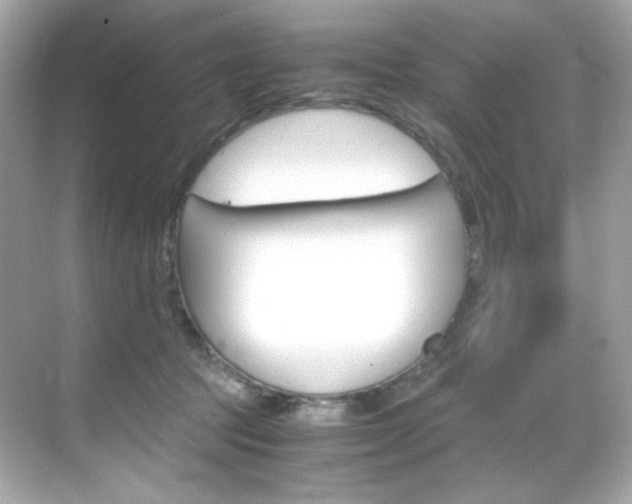 X0000069410369200605121055