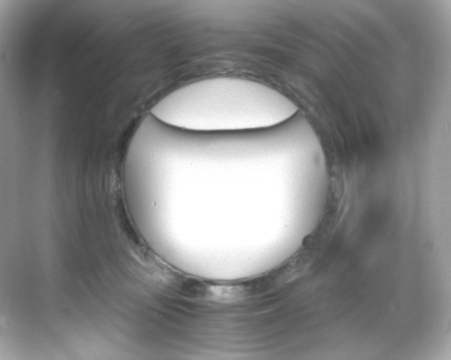 X0000069410371200605121055