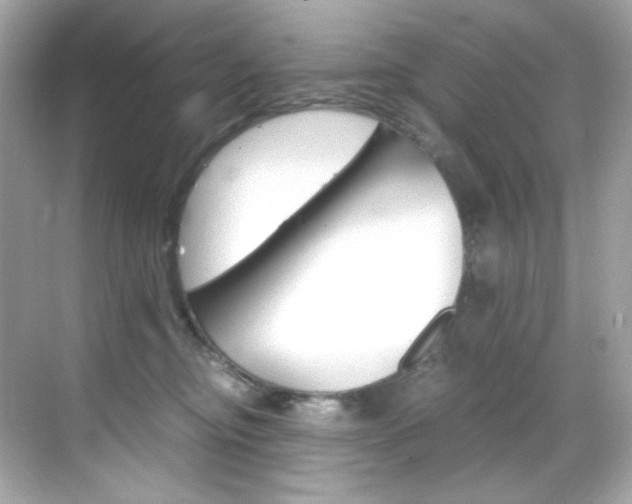 X0000069410374200605121055