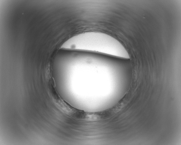 X0000069410376200605121055