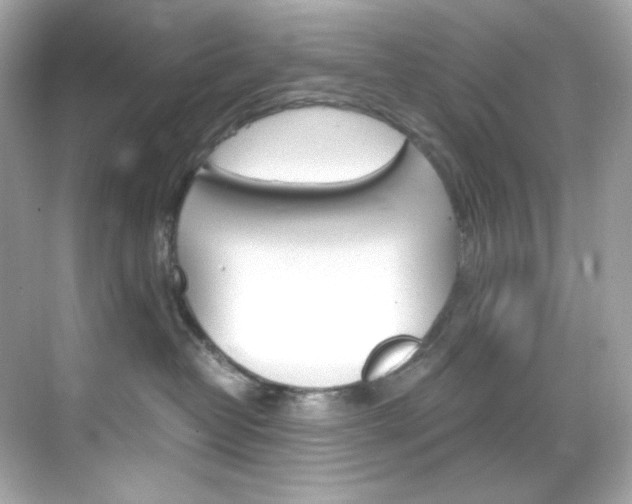 X0000069410382200605121055