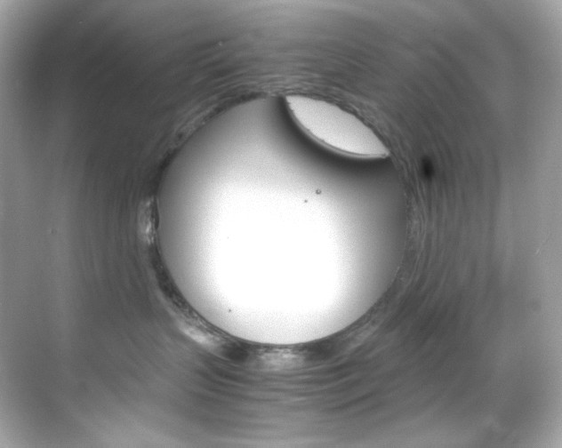 X0000069410383200605121055