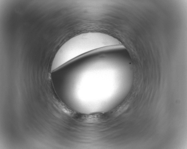 X0000069410384200605121055