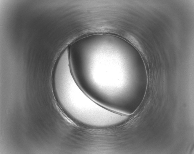 X0000069410389200605121054