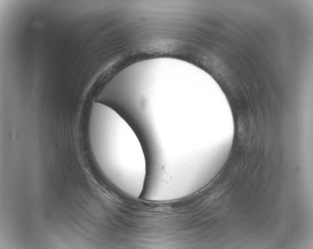X0000069410396200605121054