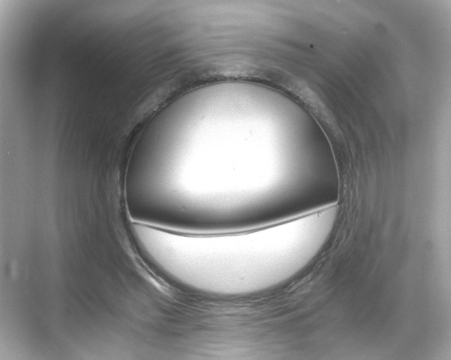 X0000069410397200605121054