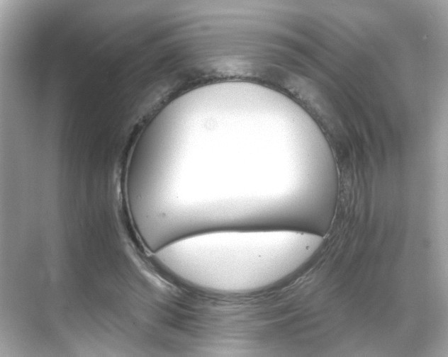 X0000069410398200605121054