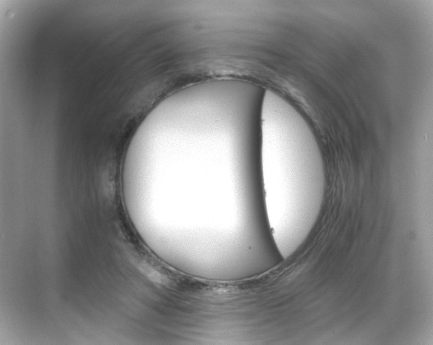 X0000069410402200605121054