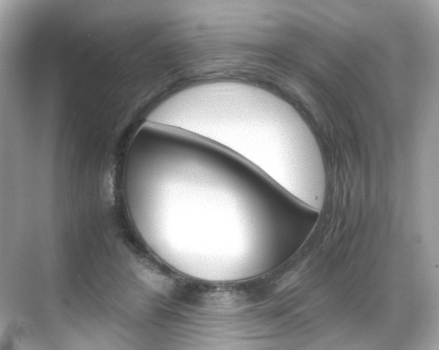 X0000069410404200605121054