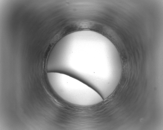 X0000069410406200605121054