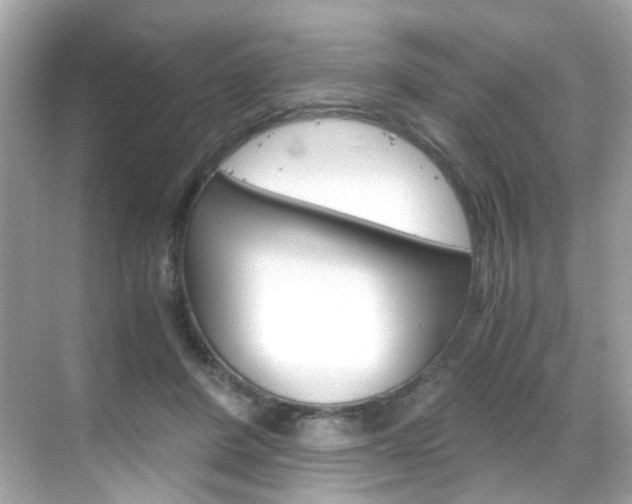 X0000069410408200605121054