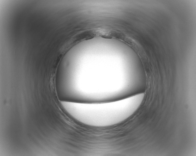 X0000069410409200605121054