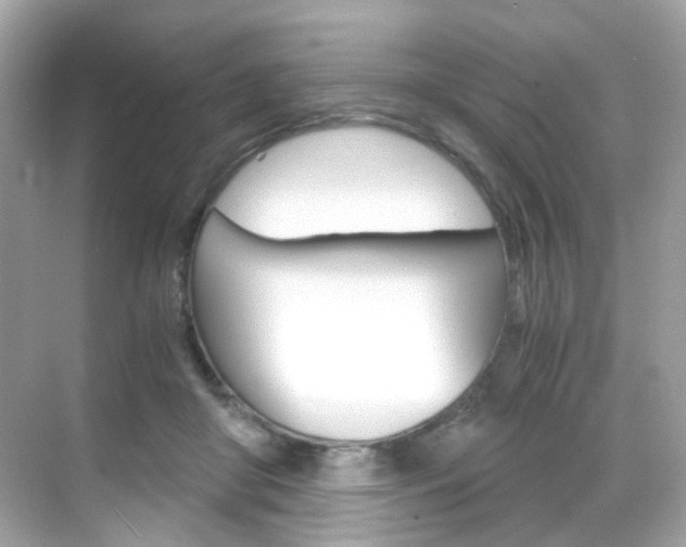 X0000069410410200605121054