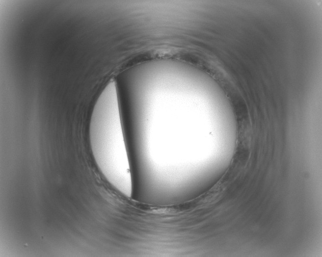 X0000069410417200605121054